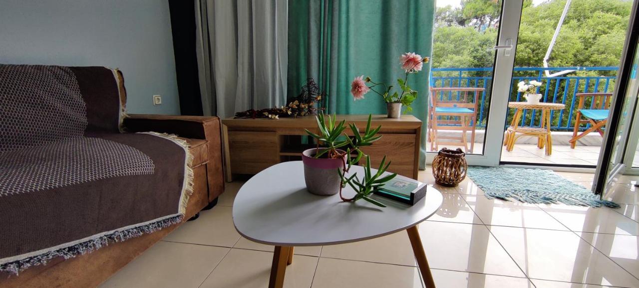 Hospitable Appartment In The Central Park, كسانثي المظهر الخارجي الصورة